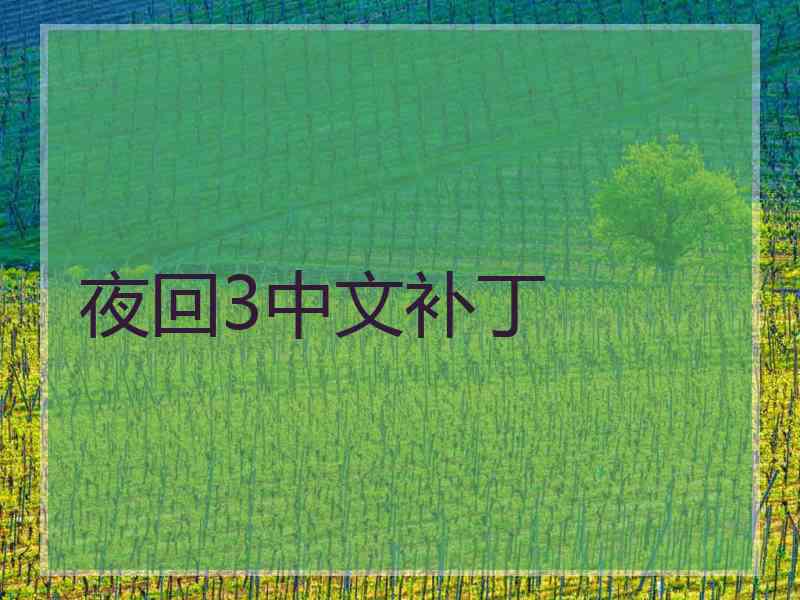 夜回3中文补丁
