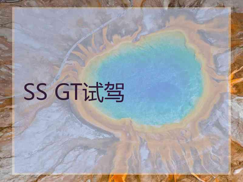 SS GT试驾