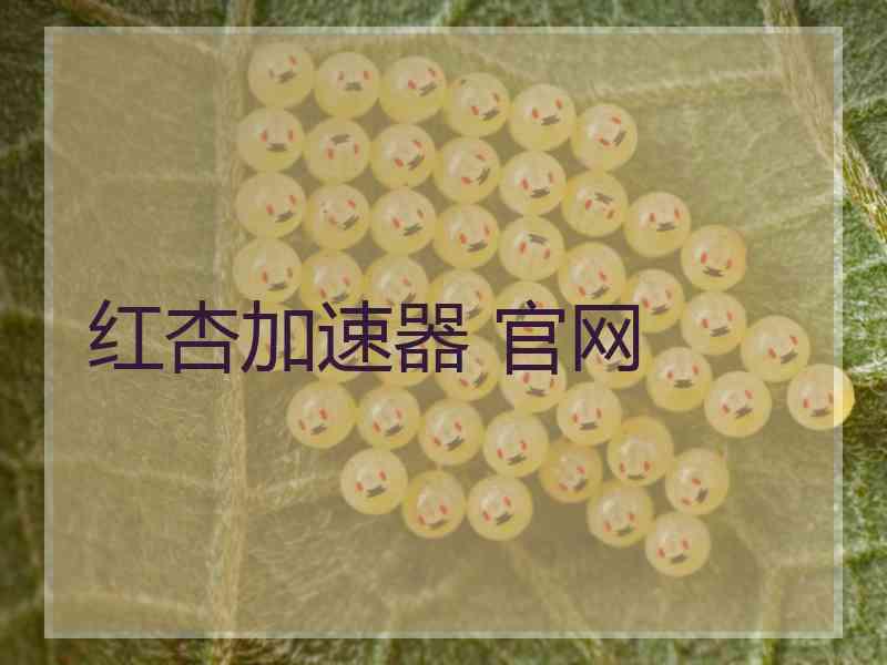 红杏加速器 官网