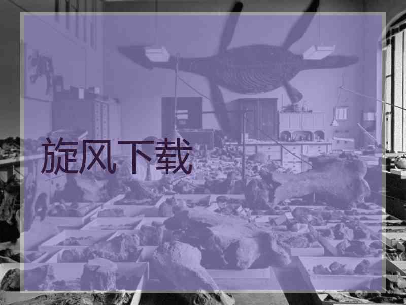 旋风下载
