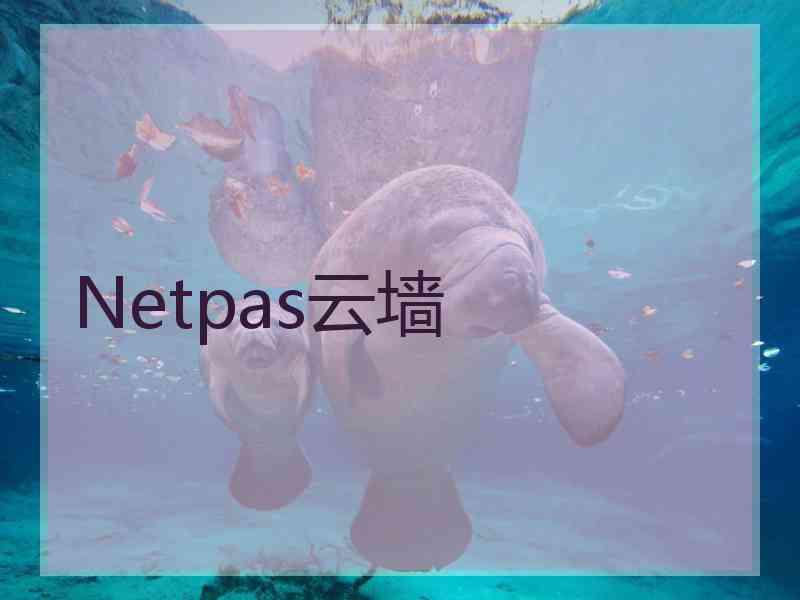 Netpas云墙