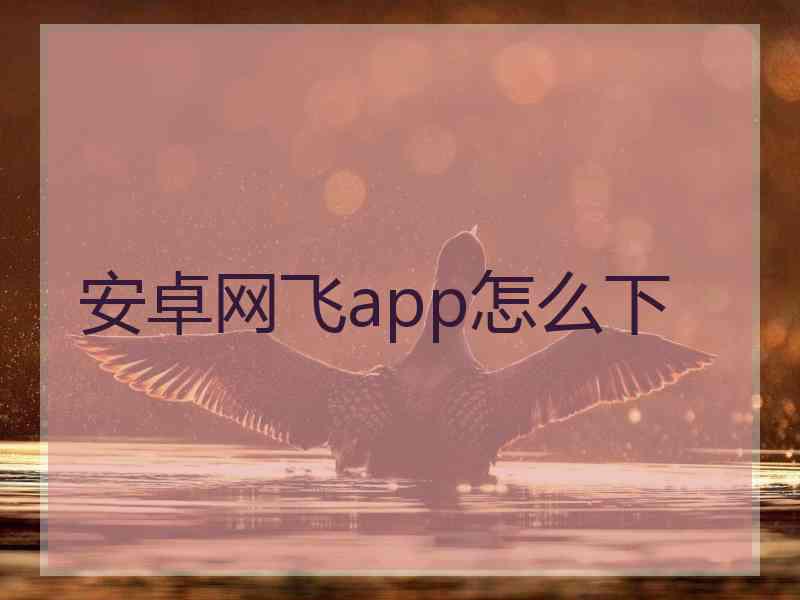 安卓网飞app怎么下