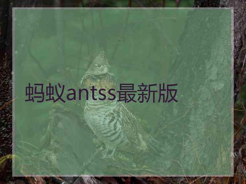蚂蚁antss最新版