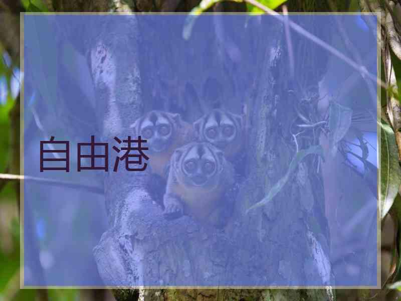 自由港