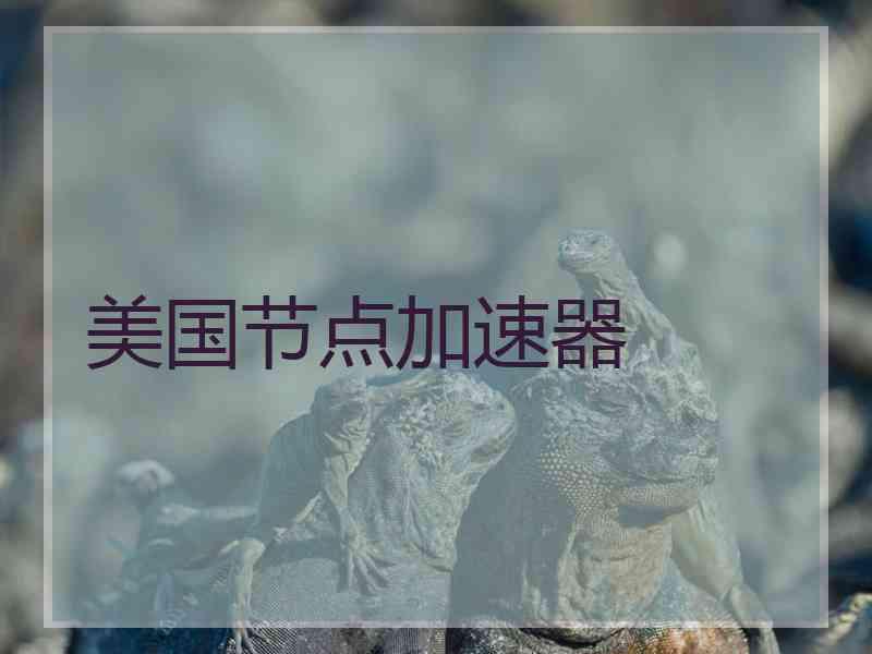 美国节点加速器