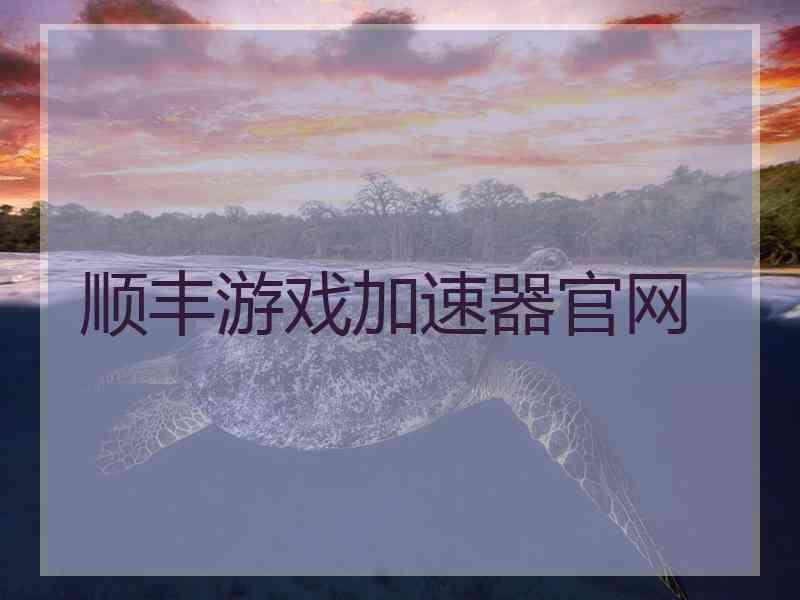 顺丰游戏加速器官网