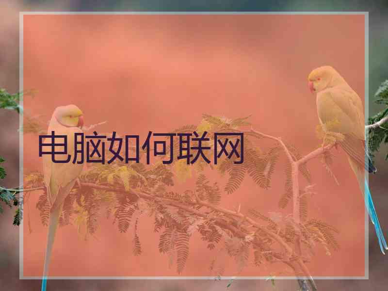 电脑如何联网
