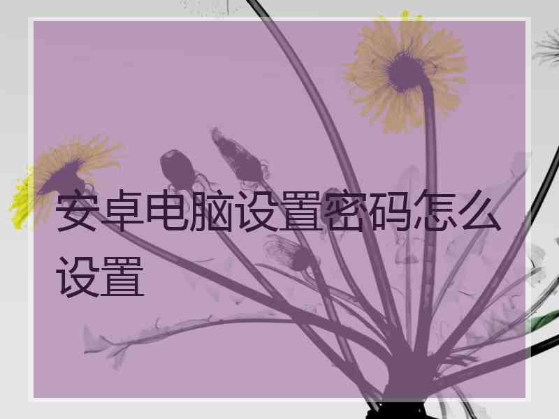 安卓电脑设置密码怎么设置