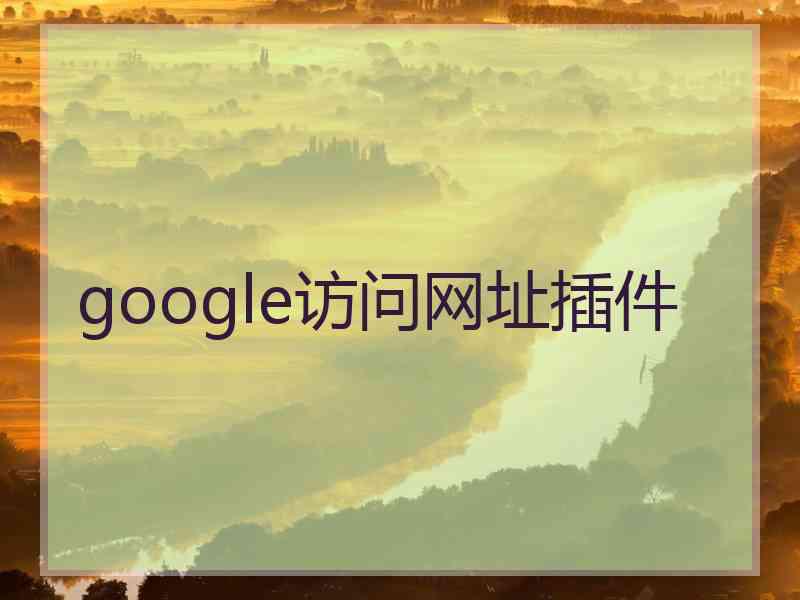google访问网址插件