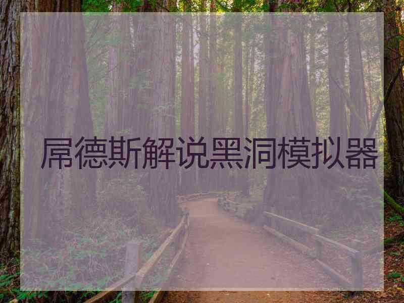 屌德斯解说黑洞模拟器