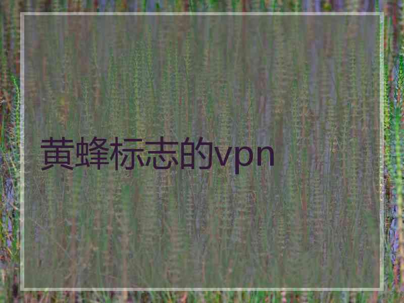 黄蜂标志的vpn