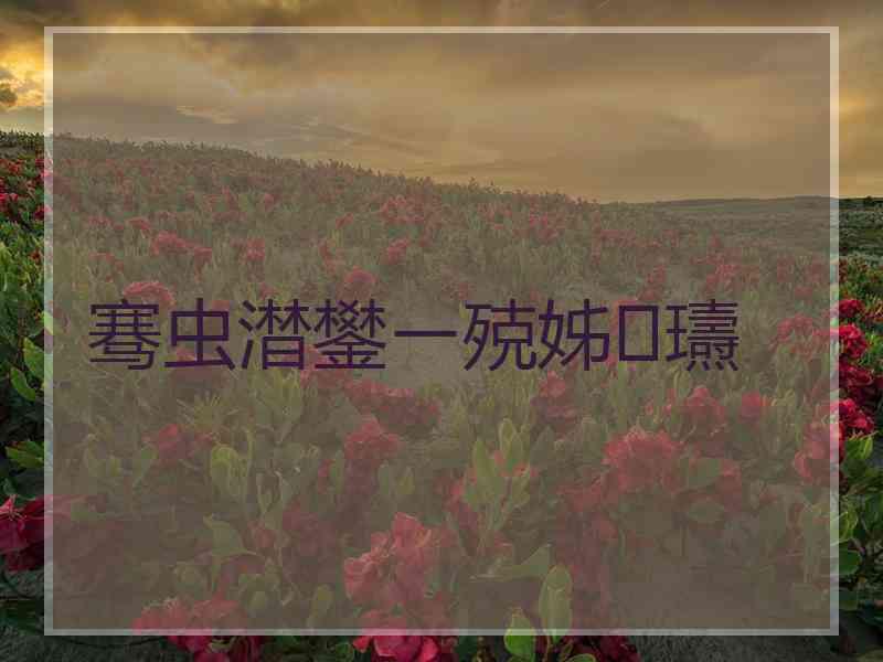 骞虫澘鐢ㄧ殑姊瓙