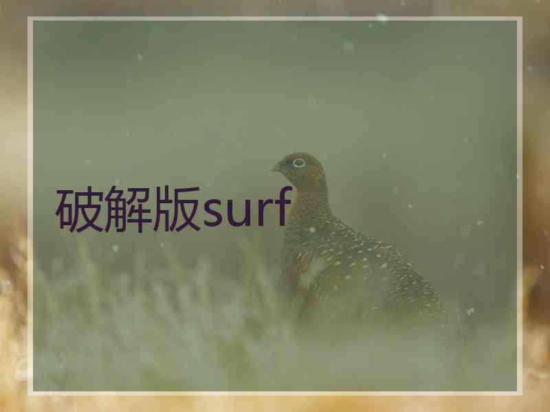 破解版surf