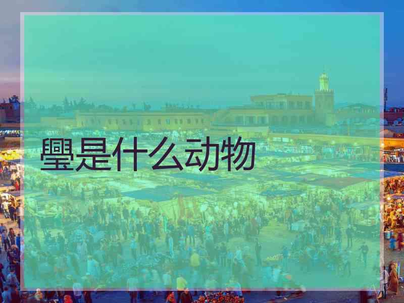 璺是什么动物