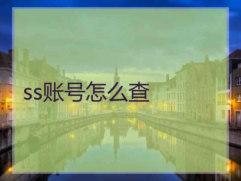 ss账号怎么查