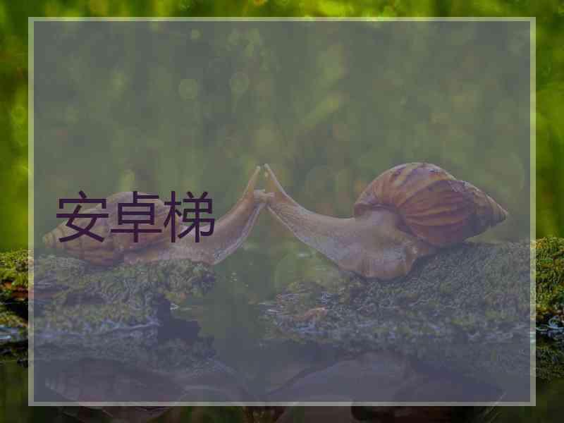 安卓梯