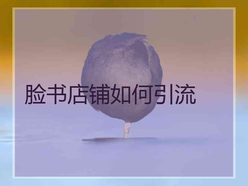 脸书店铺如何引流