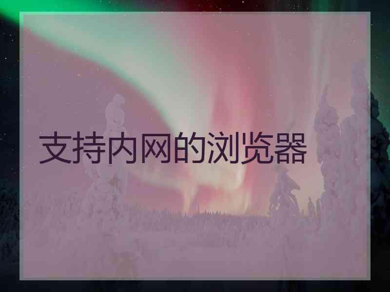 支持内网的浏览器