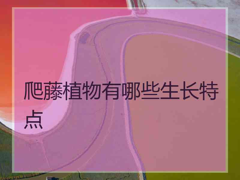 爬藤植物有哪些生长特点
