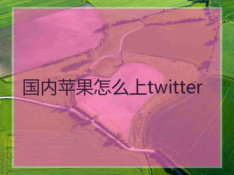 国内苹果怎么上twitter