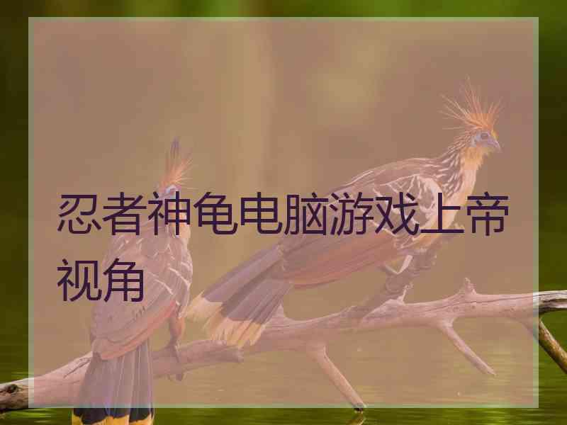 忍者神龟电脑游戏上帝视角