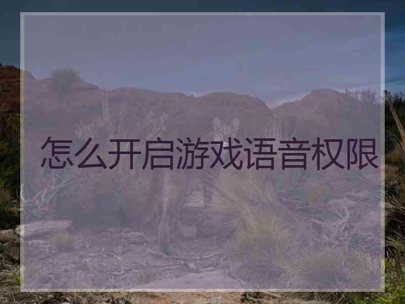 怎么开启游戏语音权限