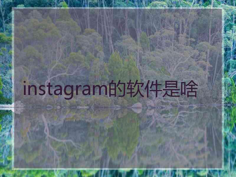 instagram的软件是啥