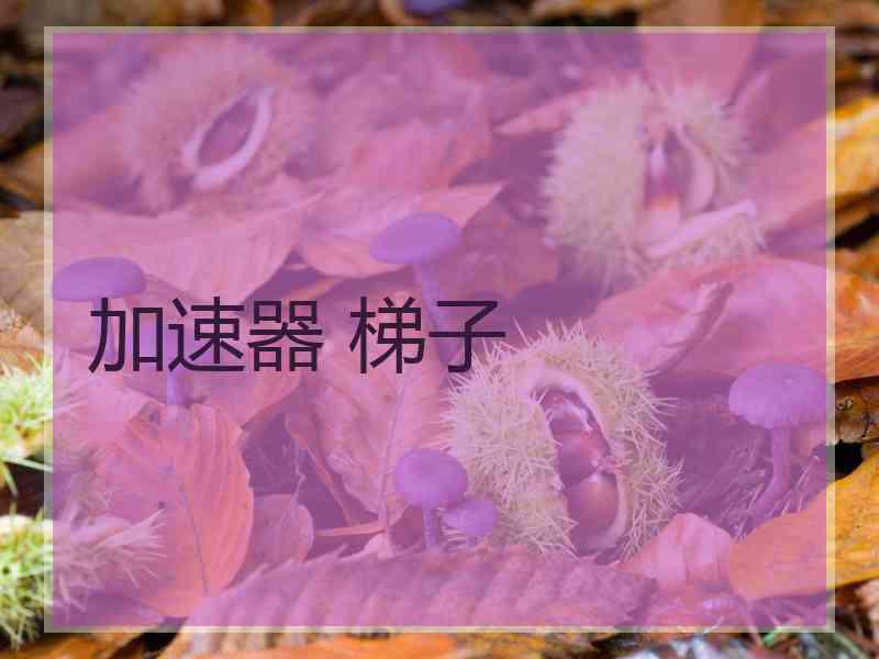 加速器 梯子