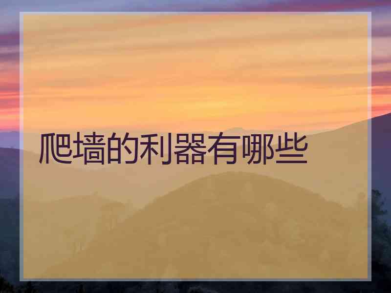 爬墙的利器有哪些