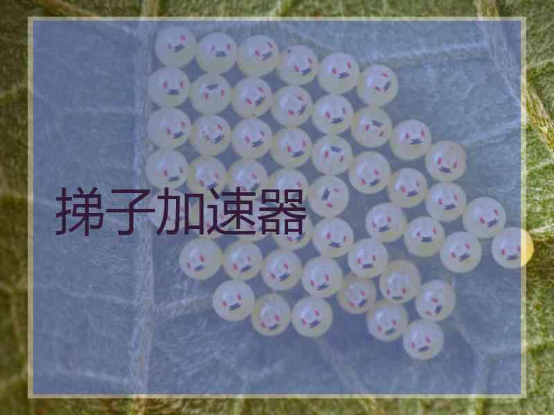 挮子加速器