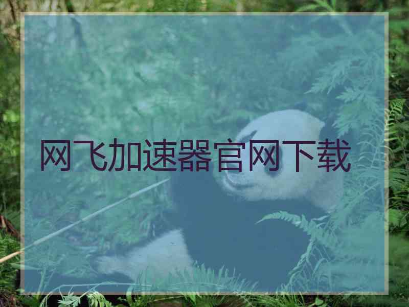 网飞加速器官网下载