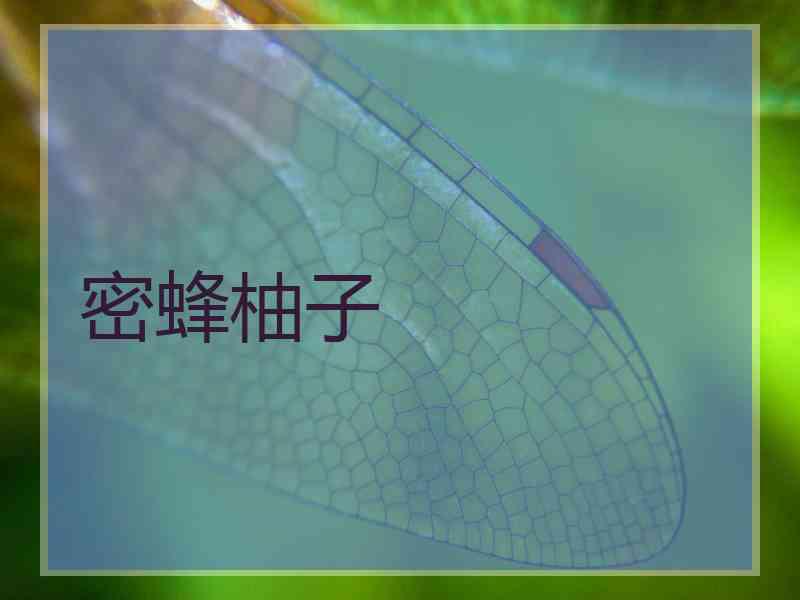 密蜂柚子
