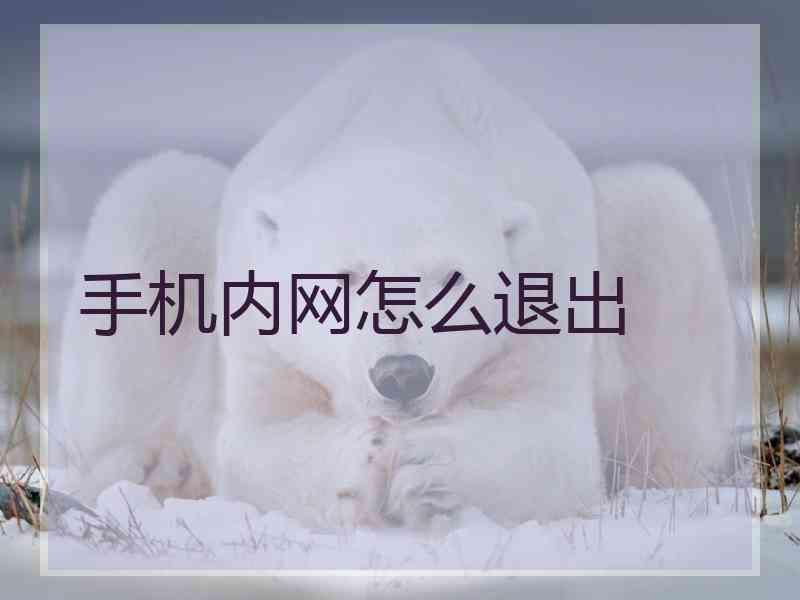 手机内网怎么退出