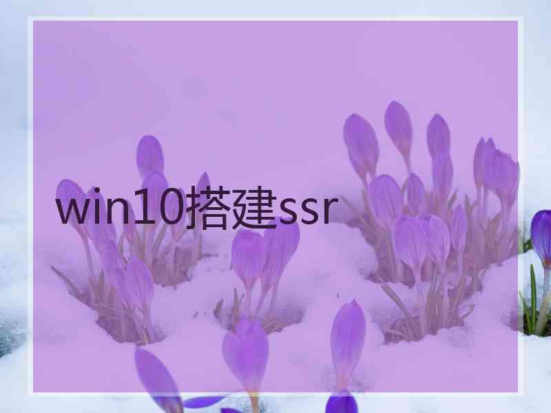 win10搭建ssr