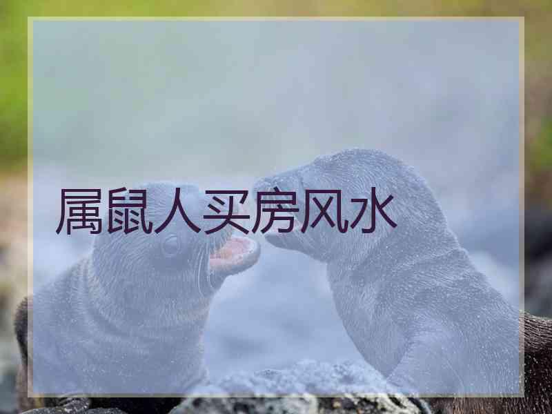 属鼠人买房风水