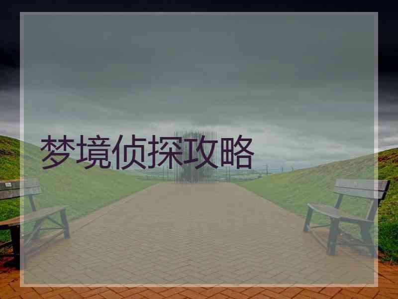 梦境侦探攻略