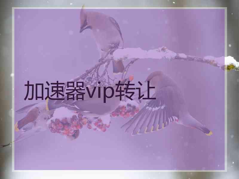 加速器vip转让