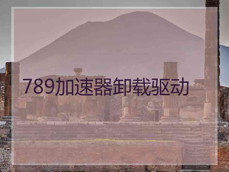 789加速器卸载驱动