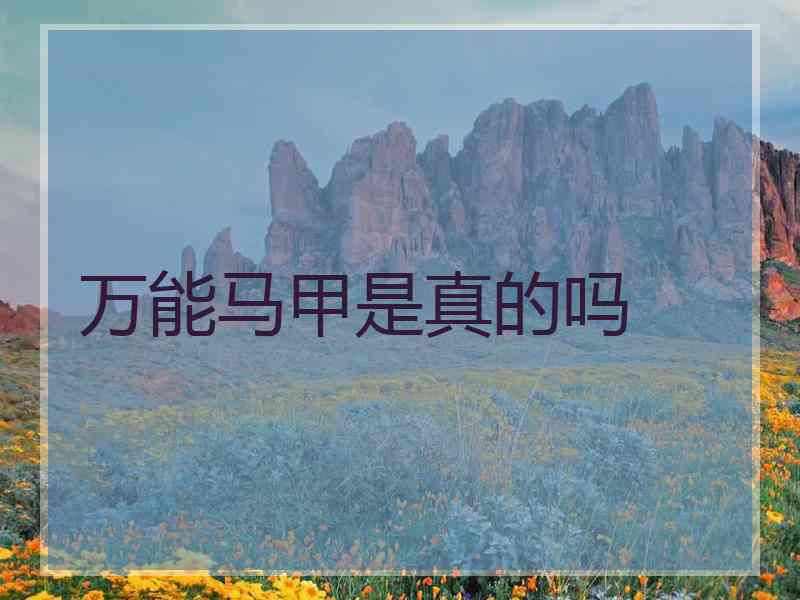 万能马甲是真的吗