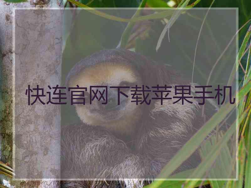 快连官网下载苹果手机