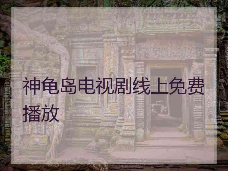 神龟岛电视剧线上免费播放