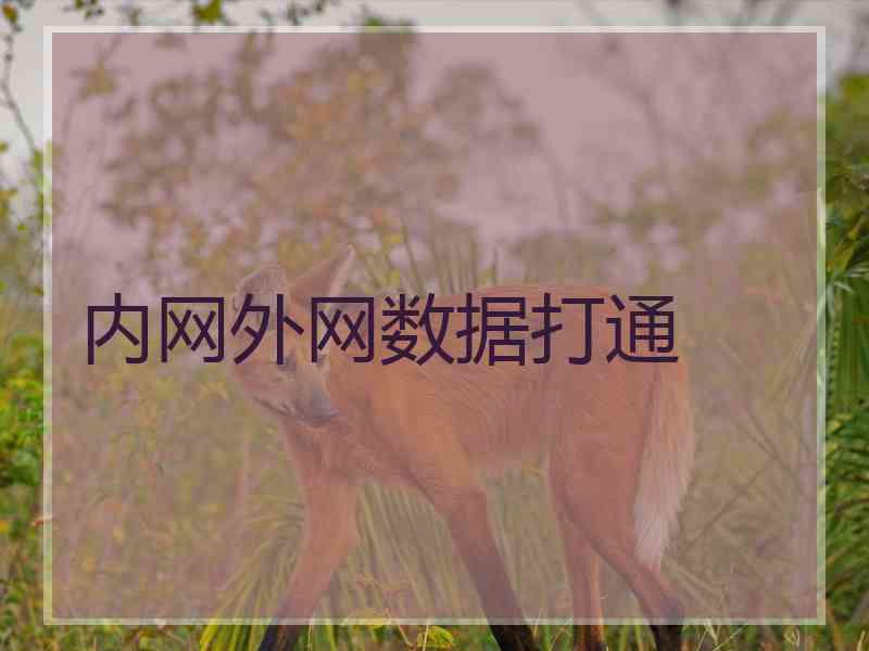 内网外网数据打通