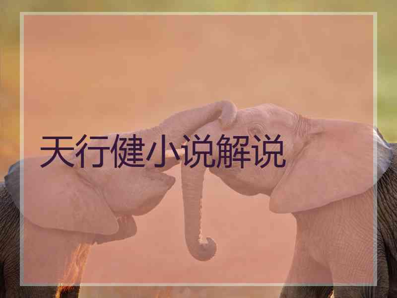 天行健小说解说