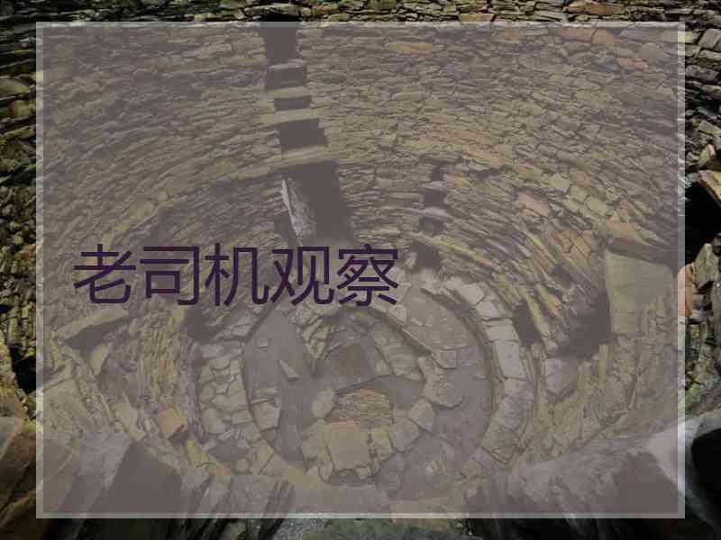 老司机观察