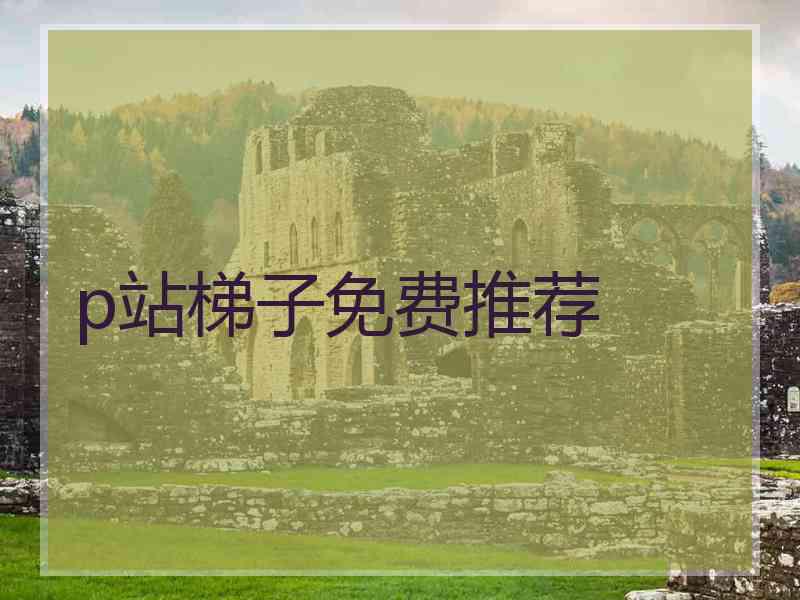 p站梯子免费推荐