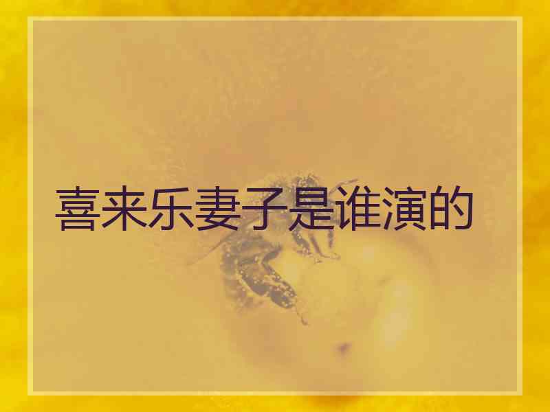 喜来乐妻子是谁演的
