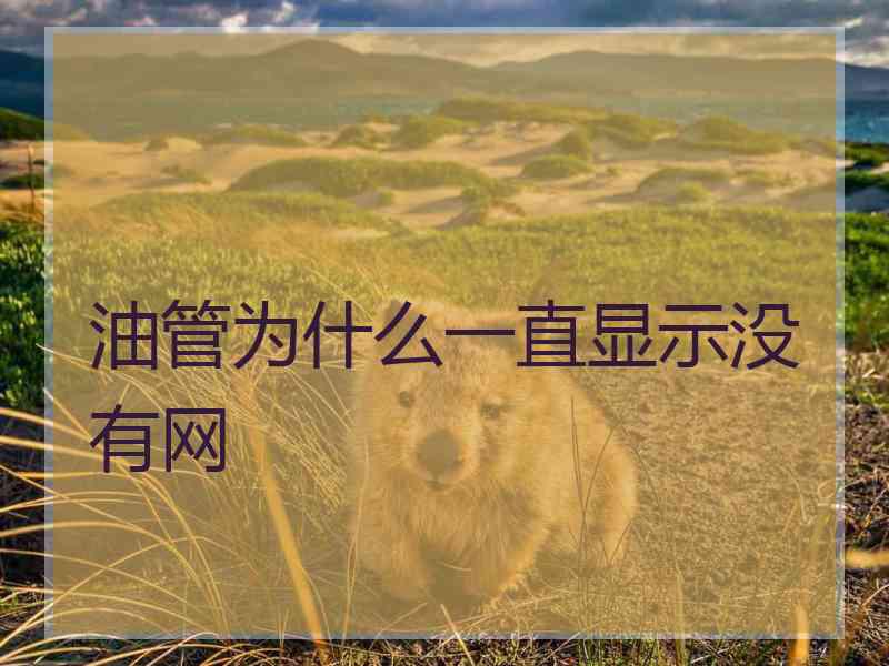 油管为什么一直显示没有网
