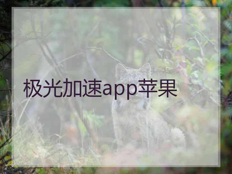 极光加速app苹果