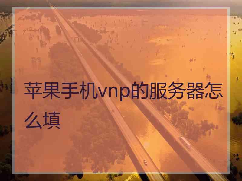 苹果手机vnp的服务器怎么填
