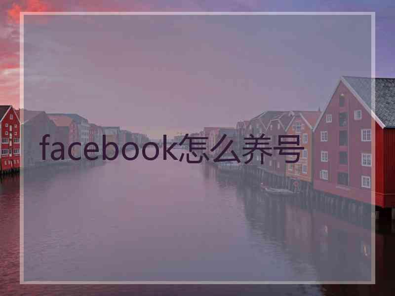 facebook怎么养号